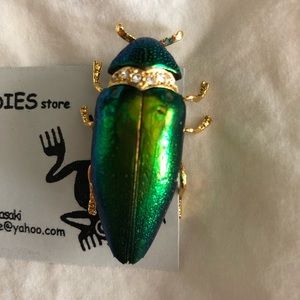 NIB Boutique Unique Beetle Brooch